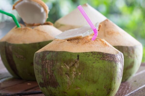 10 Health Benefits of Drinking Tender Coconut Water | XYZspot