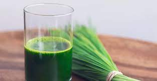 15 Benefits Of Wheatgrass Juice